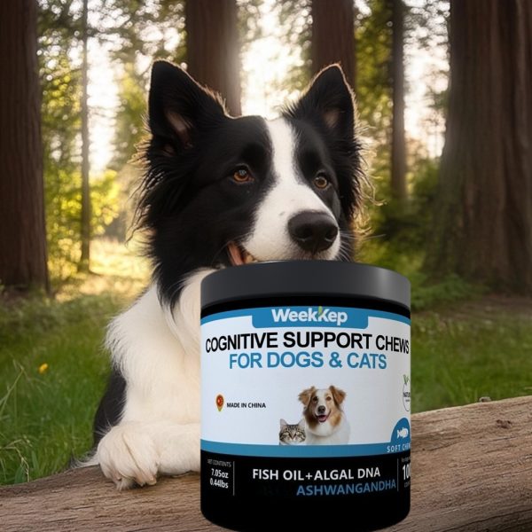 Cognitive Support Soft Chewables for Dogs & Cats - 图片 4